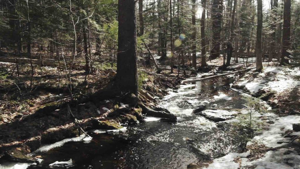 Robinson Woods Preserve Sounds of Maine