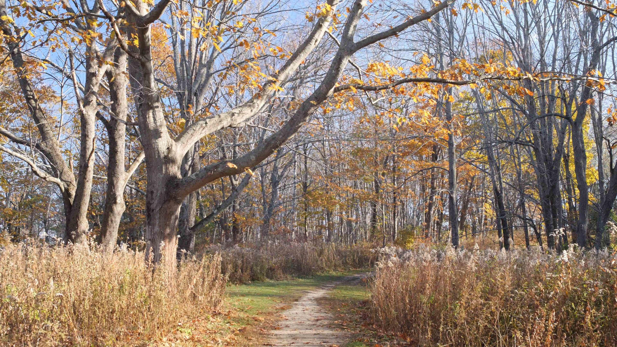 Audubon Center at Gilsland Farm